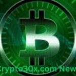 Crypto30x.com News